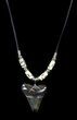 Polished Megalodon Tooth Necklace #35765-1
